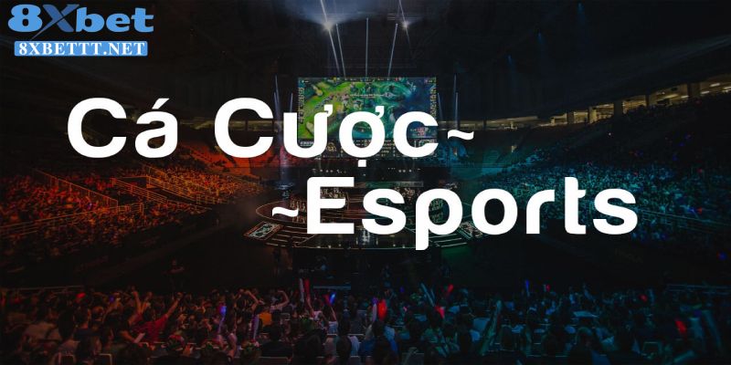 Top Nhà Cái Cá Cược Esports Uy Tín Năm 2024 - Chơi Là Thắng 5 Tìm hiểu cá cược Esports online